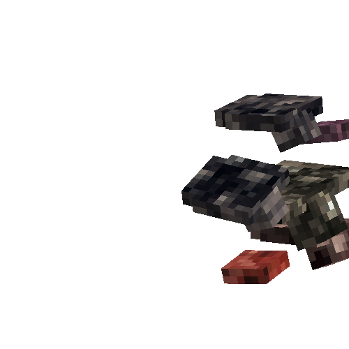 reefledge-blue-east