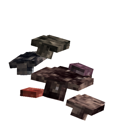 reefledge-red-north