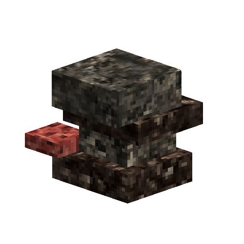 Coral structure (brown)