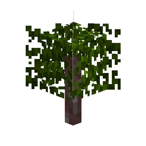 sapling-acacia-free