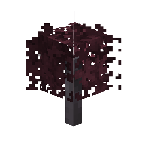 sapling-crimsonkingmaple-snow
