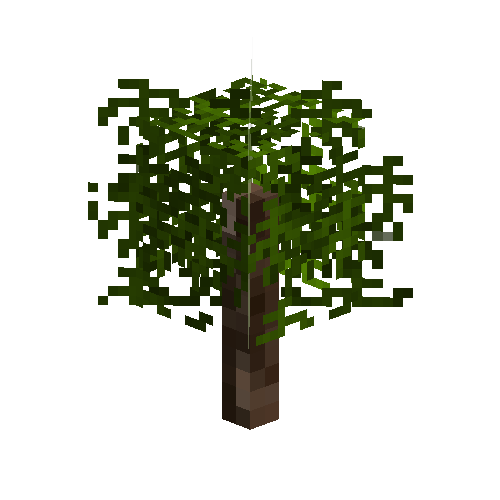 sapling-ebony-snow