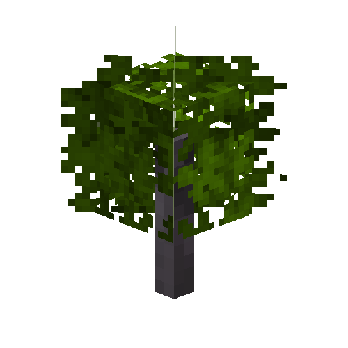 sapling-maple-snow