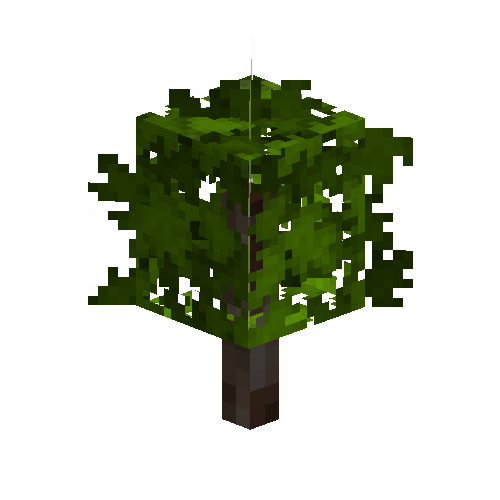 sapling-oak-free