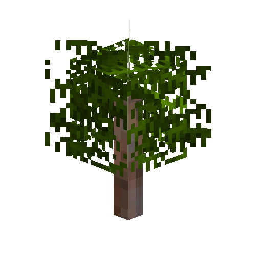 sapling-pine-snow
