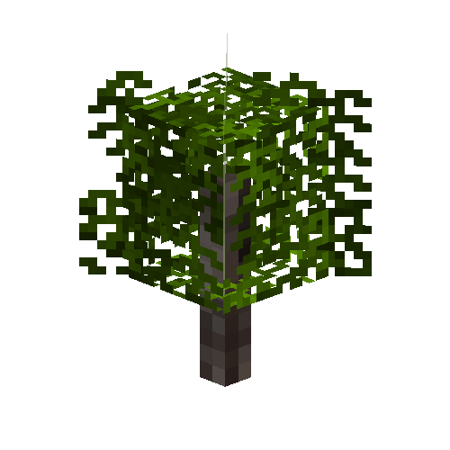 sapling-walnut-snow
