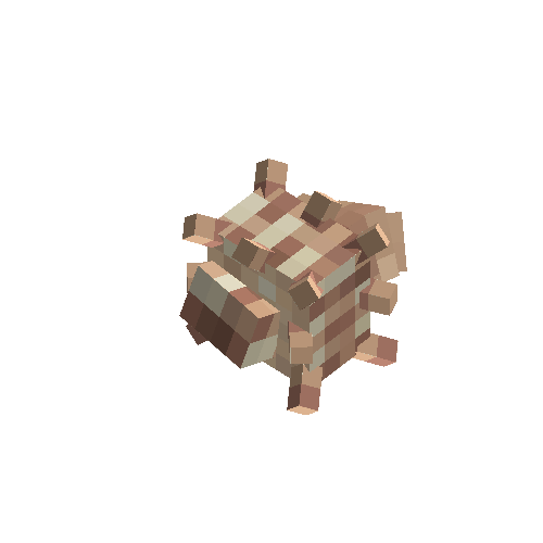 Conch (Cinnamon)