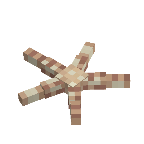 Seastar (Cinnamon)