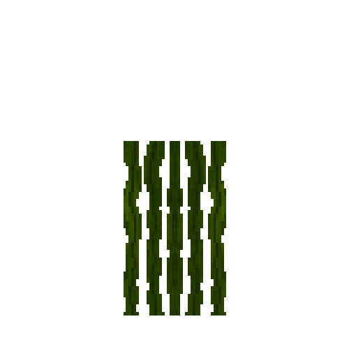 seaweed-section