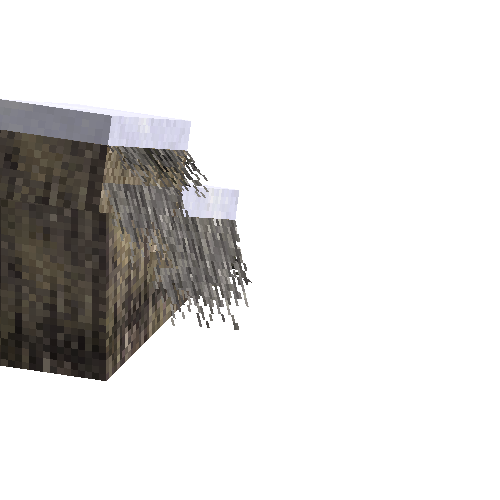 slantedroofinghalfleft-agedthatch-west-snow