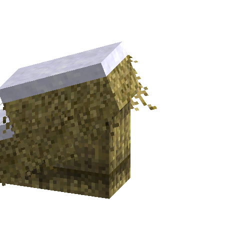 slantedroofinghalfleft-thatch-north-snow