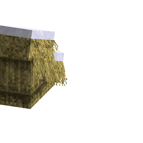 slantedroofinghalfleft-thatch-west-snow
