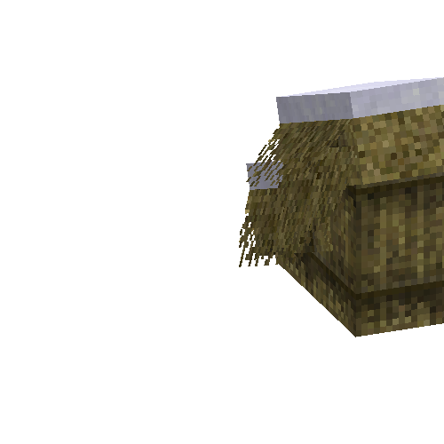 slantedroofinghalfright-thatch-west-snow