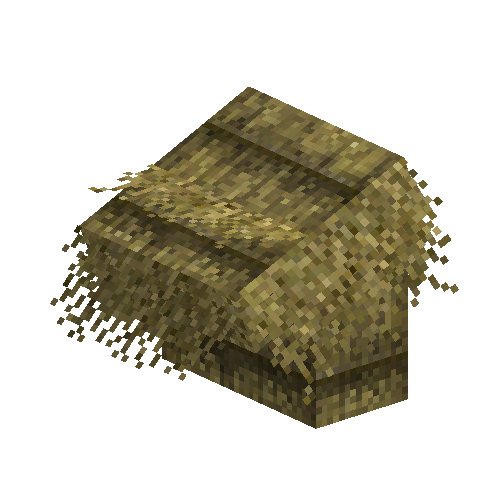 Thatch roof top