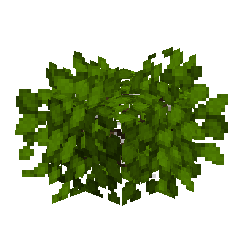 Blueberry bush (Empty)