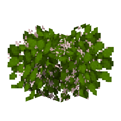 Blueberry bush (Flowering)