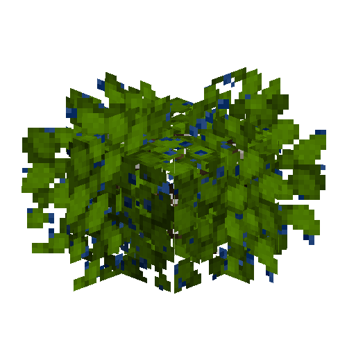 Blueberry bush (Ripe)