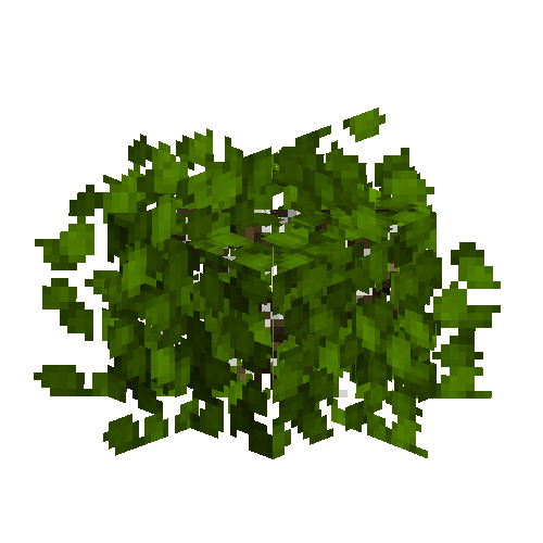 Cranberry bush (Empty)