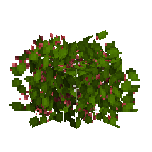 Cranberry bush (Ripe)