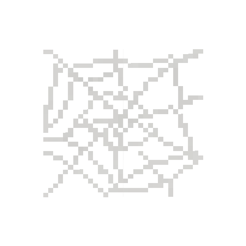 Spider web