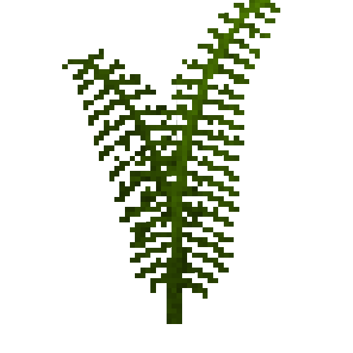 Tall fern
