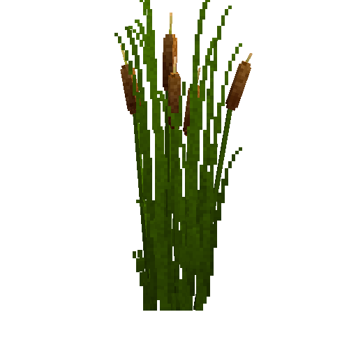 tallplant-coopersreed-ice-normal-free