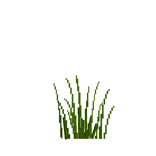 tallplant-coopersreed-water-harvested-free