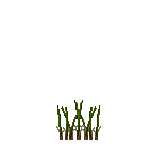 tallplant-papyrus-land-harvested-snow