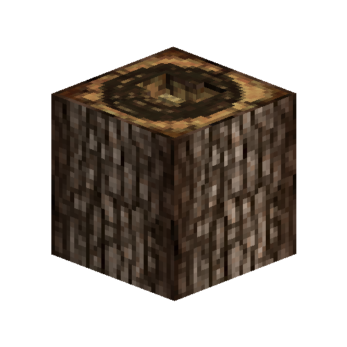 Wild beehive in ebony tree