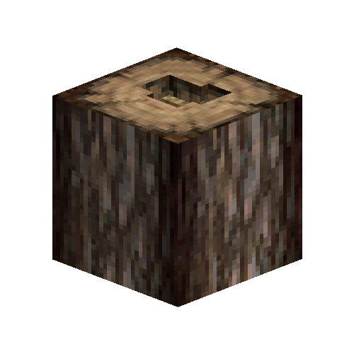 Wild beehive in oak tree