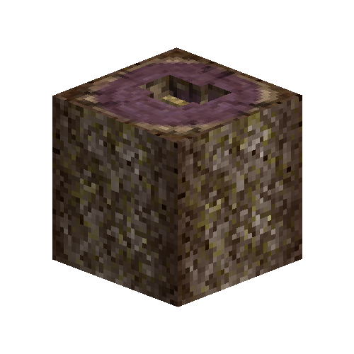 Wild beehive in purpleheart tree