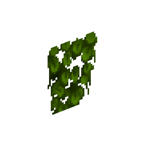 Wild vine