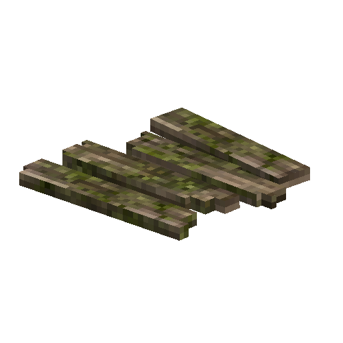 woodenpath-birch-we