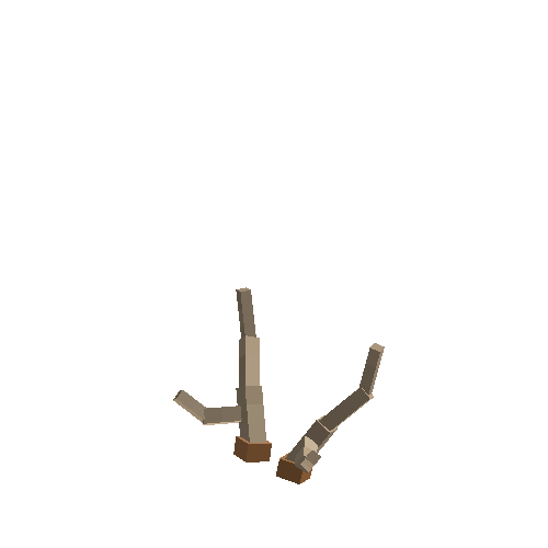 antler-chital-02