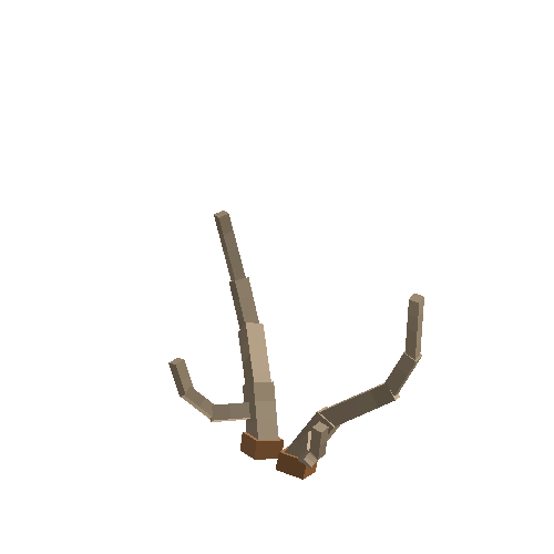 antler-chital-03