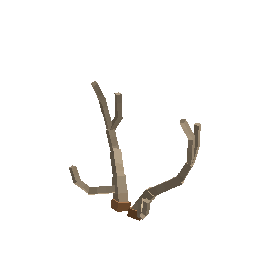 antler-chital-04