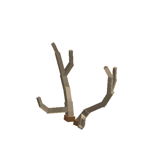 antler-chital-05