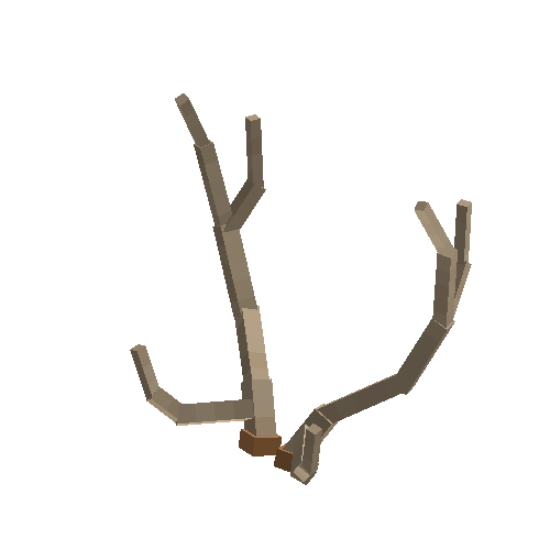 antler-chital-06