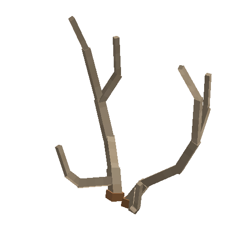 antler-chital-07