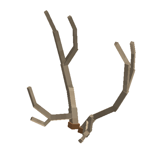 antler-chital-08