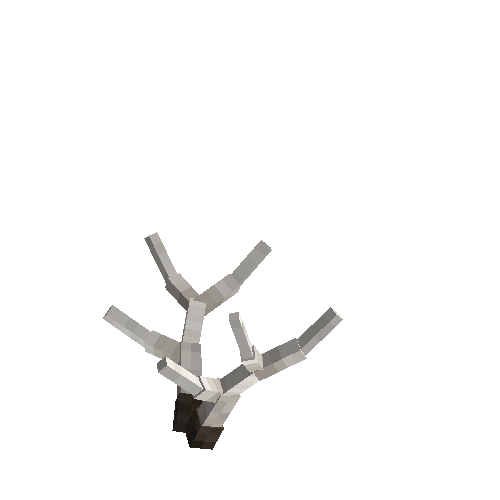 antler-elk-03