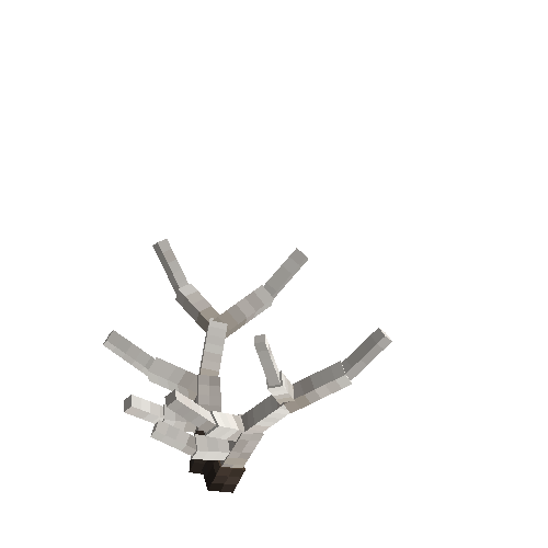 antler-elk-04