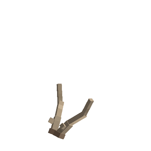 antler-fallow-02