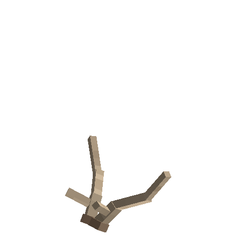 antler-fallow-03