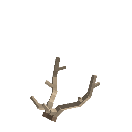 antler-fallow-04