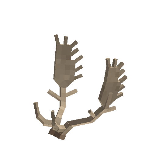 antler-fallow-06