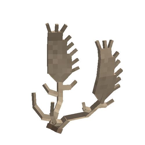 antler-fallow-07