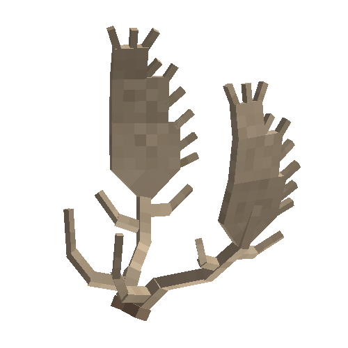 antler-fallow-08