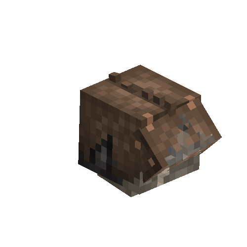 Blackguard helm (Damaged)