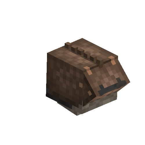 Blackguard helm
